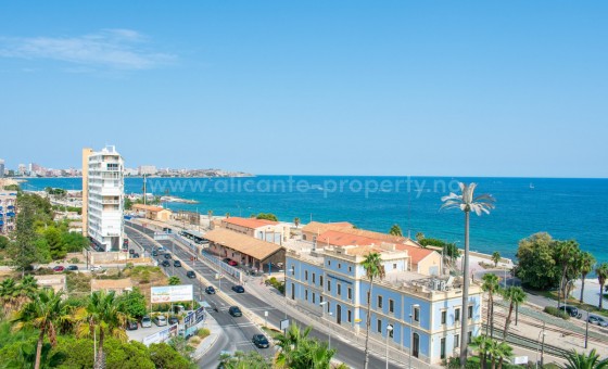 Leilighet / leilighet - Brukt bolig - Alicante - Alicante Centro