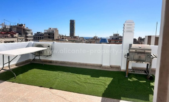 Leilighet / leilighet - Brukt bolig - Alicante -
                Alicante City Centro