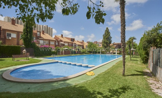 Leilighet / leilighet - Brukt bolig - Alicante -
                Alicante City Centro