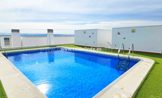 Leilighet / leilighet - Brukt bolig - Almoradi - CL-94980