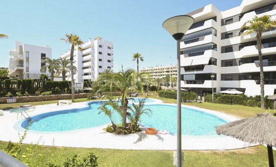Leilighet / leilighet - Brukt bolig - Arenales del Sol - Arenales del Sol