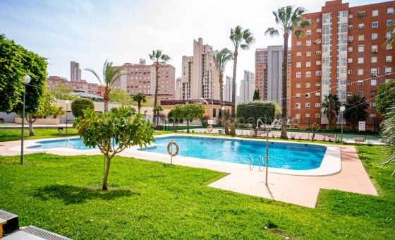 Leilighet / leilighet - Brukt bolig - Benidorm -
                Benidorm Centro