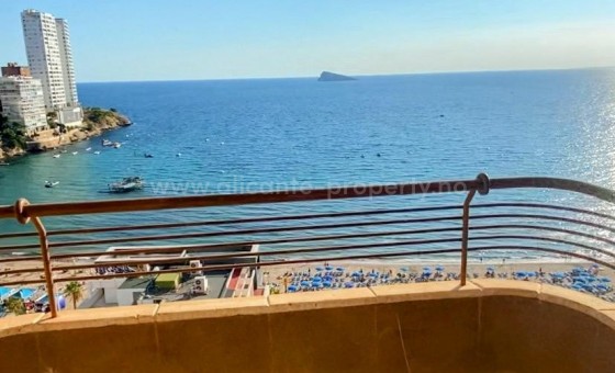 Leilighet / leilighet - Brukt bolig - Benidorm - Benidorm Centro
