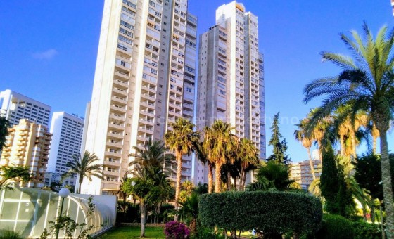Leilighet / leilighet - Brukt bolig - Benidorm - Benidorm Centro