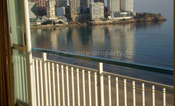 Leilighet / leilighet - Brukt bolig - Benidorm - Benidorm Centro