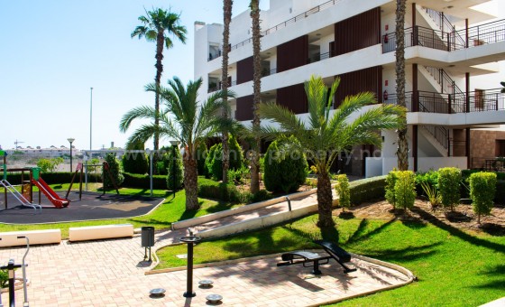 Leilighet / leilighet - Brukt bolig - Cabo Roig -
                Cabo Roig