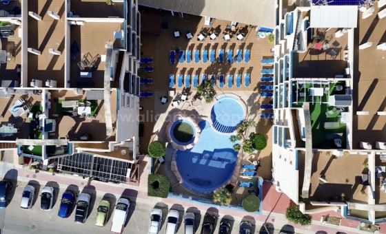 Leilighet / leilighet - Brukt bolig - Cabo Roig -
                Cabo Roig