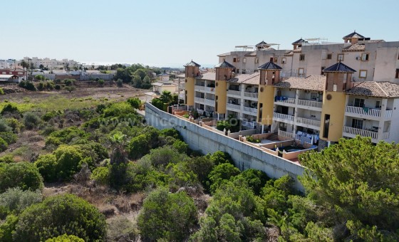Leilighet / leilighet - Brukt bolig - Cabo Roig -
                Cabo Roig