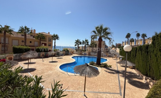 Leilighet / leilighet - Brukt bolig - Cabo Roig - Cabo Roig