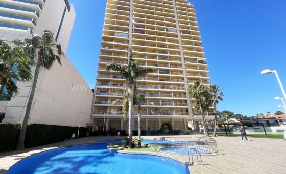 Leilighet / leilighet - Brukt bolig - Calpe - Calpe Centro