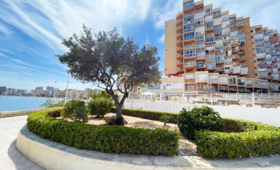 Leilighet / leilighet - Brukt bolig - Calpe - Calpe Centro