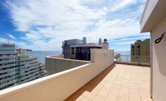 Leilighet / leilighet - Brukt bolig - Calpe - Calpe Centro