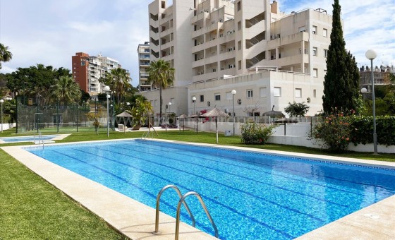 Leilighet / leilighet - Brukt bolig - Calpe - Calpe Centro