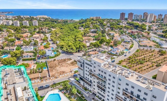 Leilighet / leilighet - Brukt bolig - Campoamor -
                Campoamor