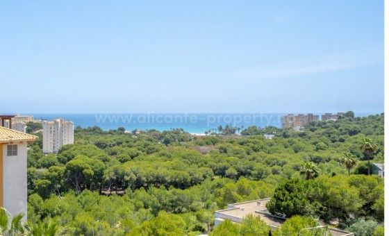 Leilighet / leilighet - Brukt bolig - Campoamor - Dehesa de Campoamor