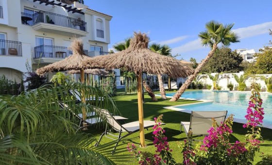 Leilighet / leilighet - Brukt bolig - Denia - Denia Centro