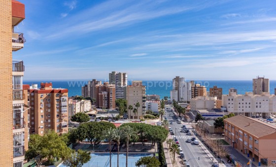 Leilighet / leilighet - Brukt bolig - El Campello -
                El Campello