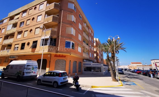 Leilighet / leilighet - Brukt bolig - Guardamar del Segura -
                Guardamar del Segura