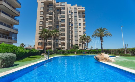 Leilighet / leilighet - Brukt bolig - Guardamar del Segura -
                Puerto Deportivo