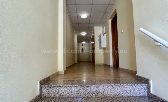 Leilighet / leilighet - Brukt bolig - Jacarilla -
                pueblo