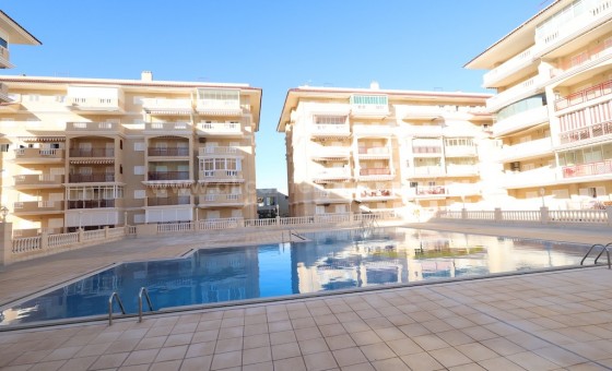 Leilighet / leilighet - Brukt bolig - La Mata -
                La Mata