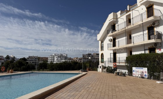 Leilighet / leilighet - Brukt bolig - La Zenia -
                La Zenia