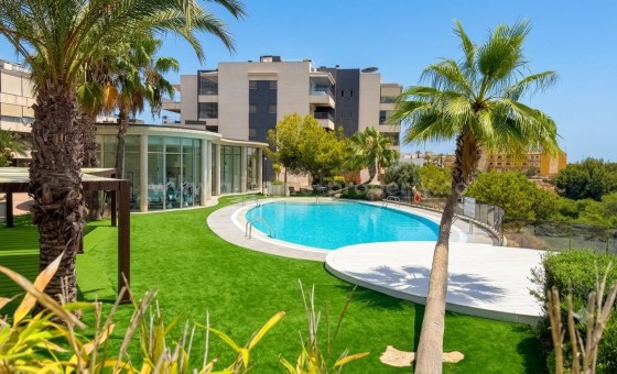 Leilighet / leilighet - Brukt bolig - La Zenia -
                La Zenia