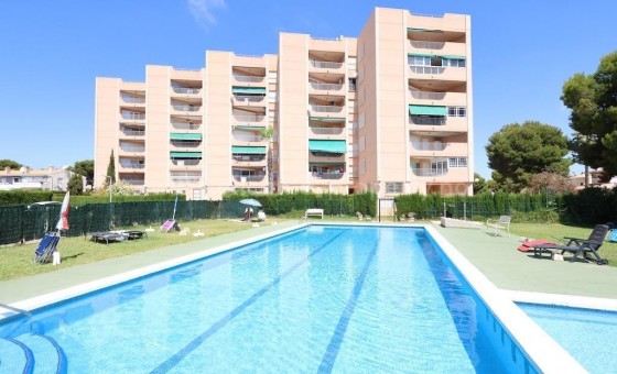 Leilighet / leilighet - Brukt bolig - La Zenia - La Zenia