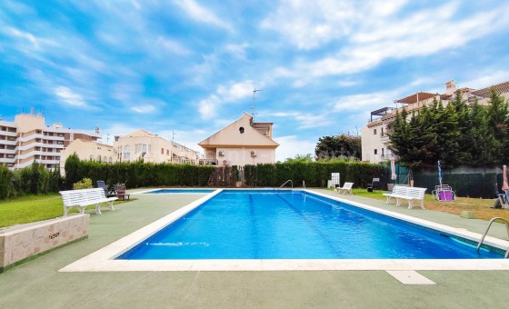 Leilighet / leilighet - Brukt bolig - La Zenia - La Zenia