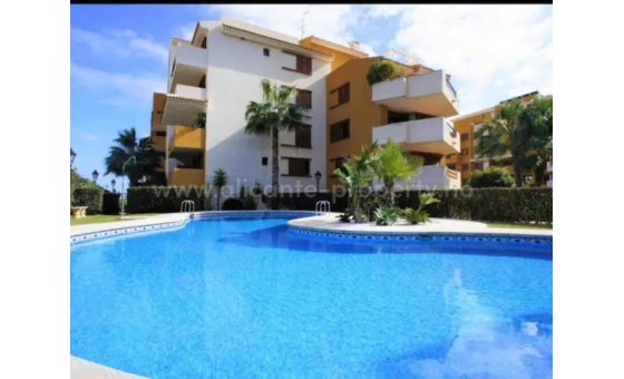 Leilighet / leilighet - Brukt bolig - Orihuela Costa - BR-40004