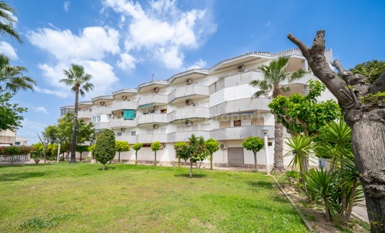 Leilighet / leilighet - Brukt bolig - Orihuela Costa - Cabo Roig