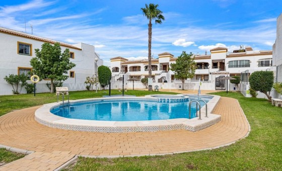 Leilighet / leilighet - Brukt bolig - Orihuela - Entre Naranjos