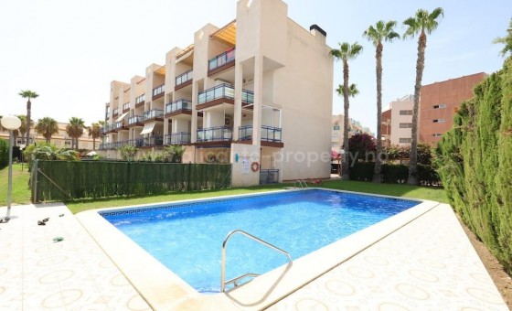 Leilighet / leilighet - Brukt bolig - Orihuela - La Regia