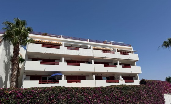 Leilighet / leilighet - Brukt bolig - Playa Flamenca - Playa Flamenca