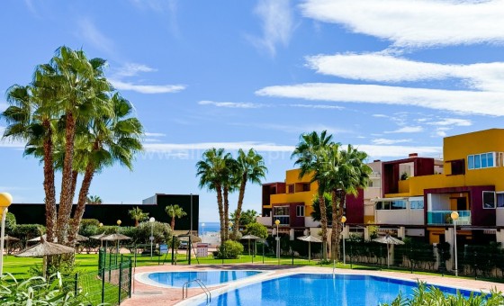 Leilighet / leilighet - Brukt bolig - Playa Flamenca - Playa Flamenca