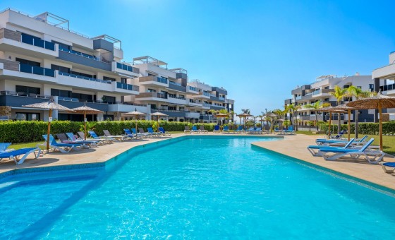Leilighet / leilighet - Brukt bolig - Playa Flamenca - Playa Flamenca