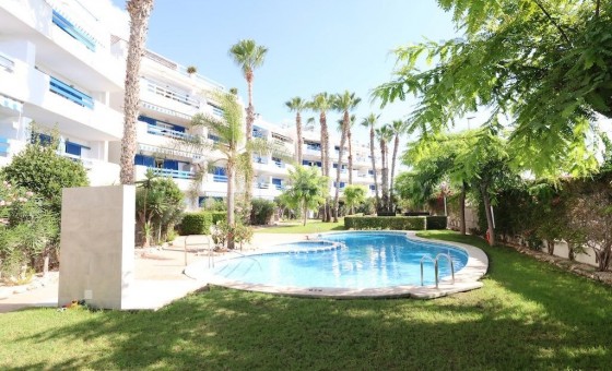 Leilighet / leilighet - Brukt bolig - Playa Flamenca - Playa Flamenca