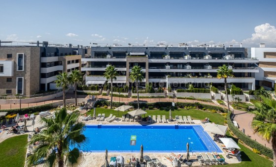 Leilighet / leilighet - Brukt bolig - Playa Flamenca - Playa Flamenca