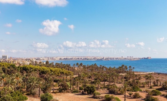 Leilighet / leilighet - Brukt bolig - Punta Prima - Punta Prima