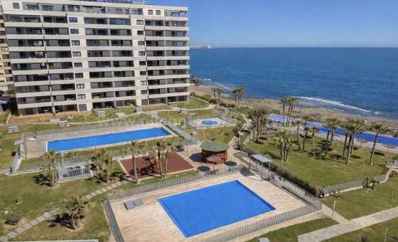 Leilighet / leilighet - Brukt bolig - Punta Prima -
                Punta Prima
