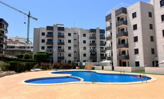 Leilighet / leilighet - Brukt bolig - San Miguel de Salinas -
                San Miguel de Salinas