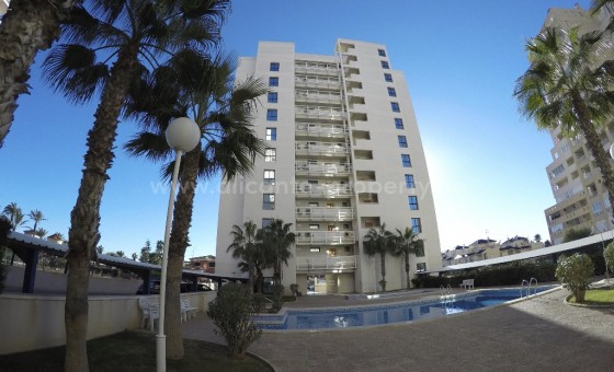 Leilighet / leilighet - Brukt bolig - Torrevieja - BR-93927