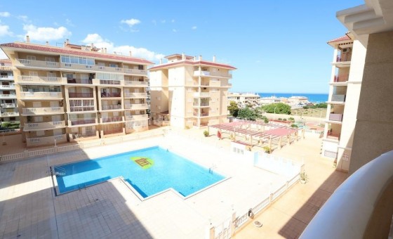 Leilighet / leilighet - Brukt bolig - Torrevieja - La Mata