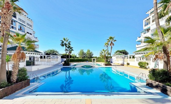 Leilighet / leilighet - Brukt bolig - Torrevieja - La Mata