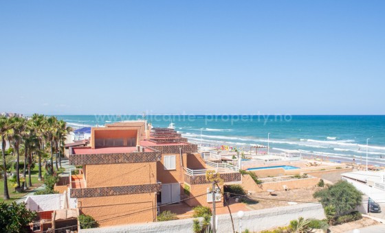 Leilighet / leilighet - Brukt bolig - Torrevieja - La Mata