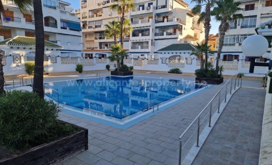 Leilighet / leilighet - Brukt bolig - Torrevieja - La Mata