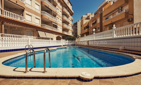 Leilighet / leilighet - Brukt bolig - Torrevieja - La Mata
