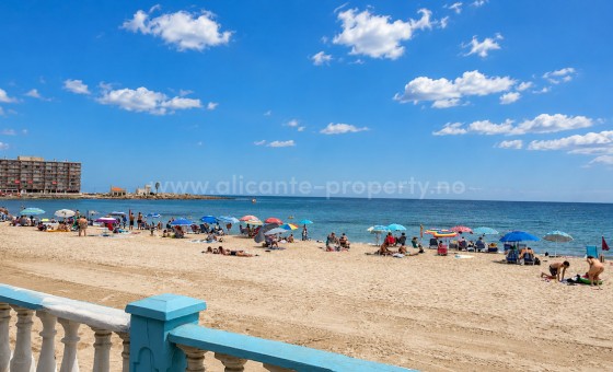 Leilighet / leilighet - Brukt bolig - Torrevieja - Playa de los Locos