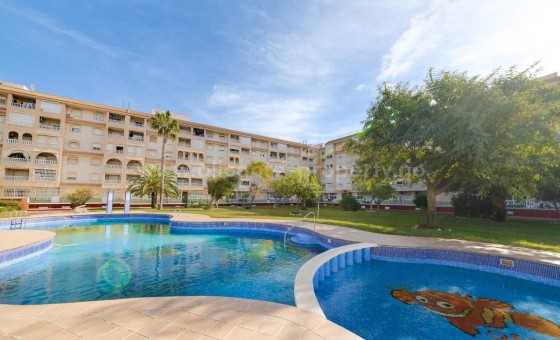 Leilighet / leilighet - Brukt bolig - Torrevieja - Torrevieja Centro