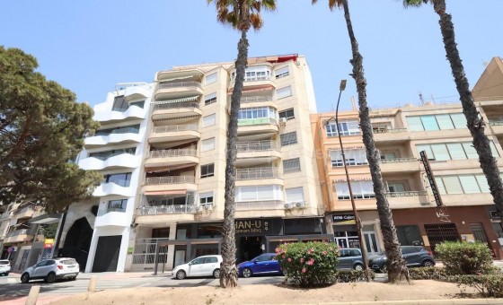 Leilighet / leilighet - Brukt bolig - Torrevieja - Torrevieja Centro